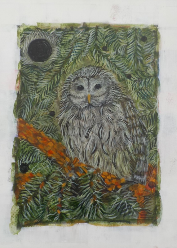 Sarah Bachman, Barred Owl, Mixed Media on Paper